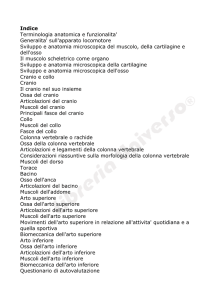 Indice Terminologia anatomica e funzionalita
