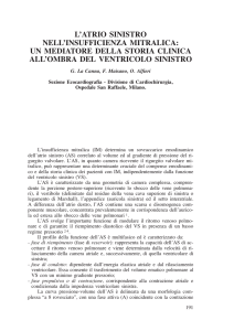 la canna rel. 20 2007 - Centro per la lotta contro l`infarto