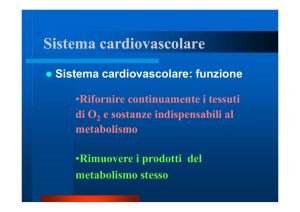 Sistema cardiovascolare