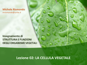 02 - Cellula vegetale File - Progetto e