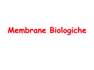 Lezione 4-Membrane_Biologiche 2015