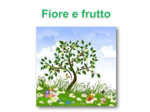 Fiore e frutto