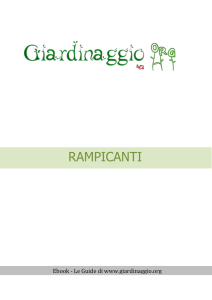 scarica subito il nostro ebook : Rampicanti