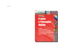 Il colore e l`immagine digitale - Grafica e impaginazione editoriale