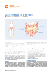 Cancro intestinale e del retto - Carcinoma del colon