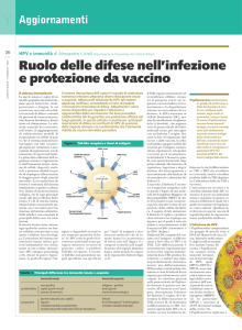 Ruolo delle difese nell`infezione e protezione da vaccino