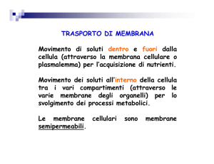 (Microsoft PowerPoint - Trasporto di membrana [modalit\340