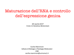 Maturazione dell`RNA e controllo dell`espressione genica - e