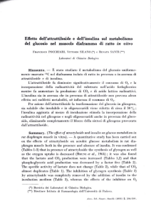 Effetto dell`attrattiloside e dell`insulina sul metabolismo del glucosio