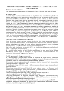 Progetto Di Ricerca - Università degli Studi di Firenze