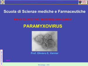 paramyxovirus - Sezione di Microbiologia