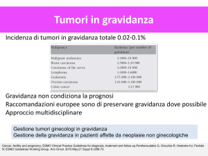 Diapositiva 1