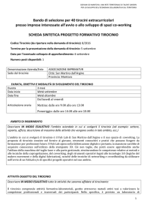 Codice Tirocinio 8/2016