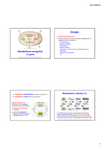 Diapositive sull`introduzione al metabolismo energetico.