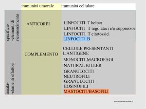 immunità umorale immunità cellulare innata-