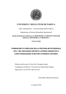 Documento PDF (tesi di dottorato)