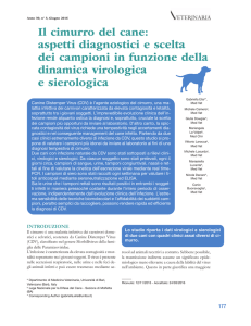 Il cimurro del cane: aspetti diagnostici e scelta dei