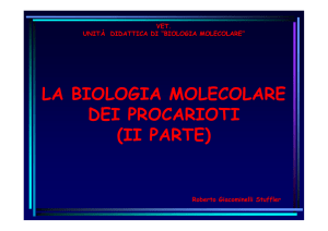 La biologia molecolare dei procarioti - Progetto e