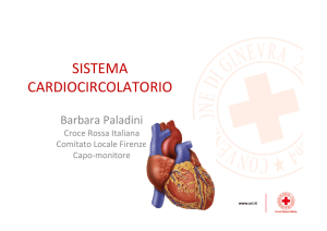 sistema cardiocircolatorio - Croce Rossa Italiana | Comitato di Firenze
