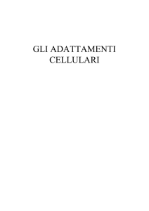 GLI ADATTAMENTI CELLULARI - CanaleA2009