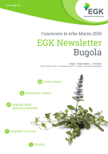 EGK Newsletter Bugola