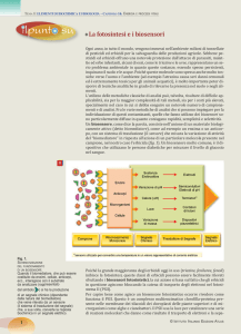 file PDF - Istituto Italiano Edizioni Atlas