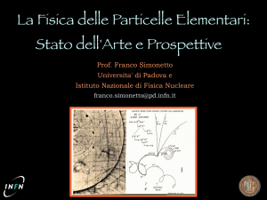 La Fisica delle Particelle Elementari - INFN