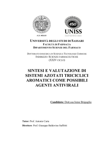 SINTESI E VALUTAZIONE DI SISTEMI AZOTATI TRICICLICI