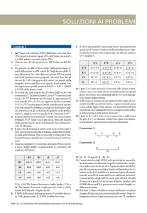 soluzioni dei problemi