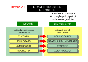 LE MACROMOLECOLE BIOLOGICHE