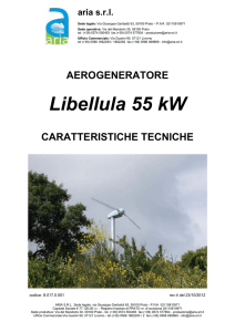 Libellula 55 kW