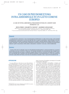 un caso di pseudomicetoma intra-addominale in un gatto comune