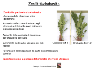 La difesa della vite con tecniche biologiche