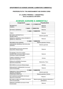 Offerta formativa 2013