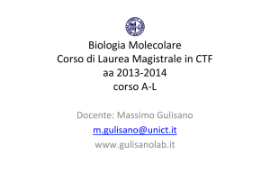 Programma CdL CTF - Biologia Molecolare A-L 2013