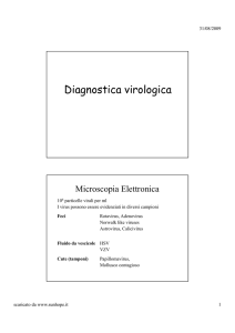 Diagnostica Virologica