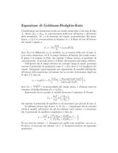 Equazione di Goldman-Hodgkin-Katz