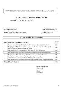 PIANO DI LAVORO DEL PROFESSORE