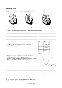 Il ciclo cardiaco