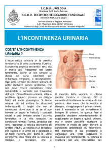 L`incontinenza urinaria