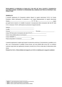 regolamento di esercizio in parallelo con reti mt della societa