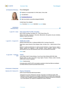 Europass CV - Multilevel Consulting
