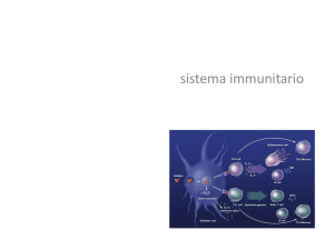 Diapositiva 1 - Istituto Ven. A. Luzzago