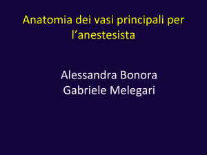 Anatomia dei vasi principali per l`anestesista