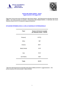 influenza_da_virus_di_origine_messicana_28 05 10