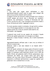 Scarica PDF - Fondazione Italiana del Rene