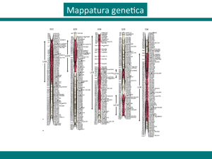 mappatura genetica ore 9