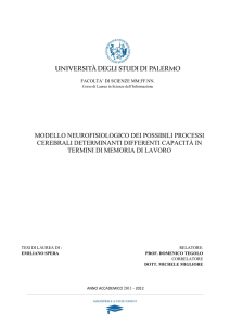 modello neurofisiologico dei possibili processi cerebrali
