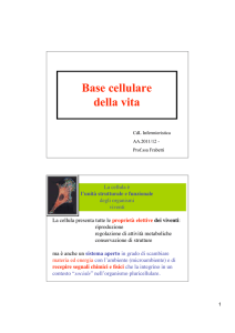 base cellulare della vita