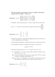 CdL Specialistica in Sociologia, Esame di Algebra Matriciale